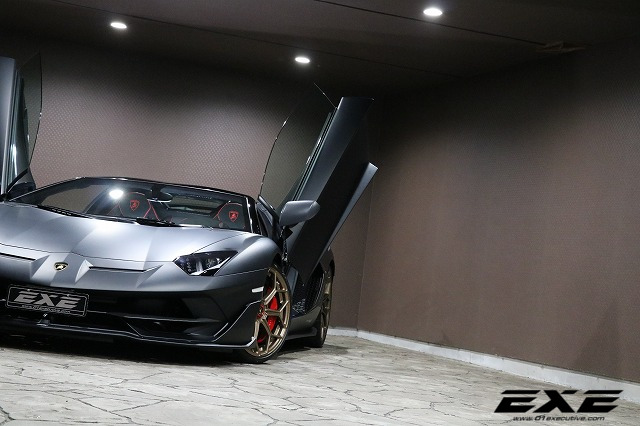 アヴェンタドール SVJ LP770-4 ロードスターの画像11