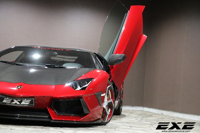 アヴェンタドール LP700-4 MANSORY verの画像11