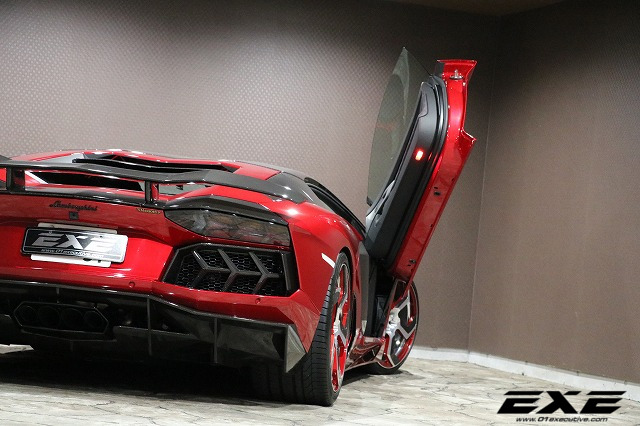 アヴェンタドール LP700-4 MANSORY verの画像12