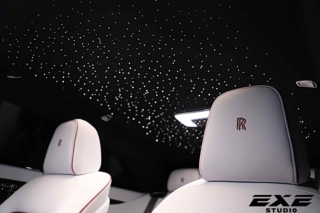 スペクター MANSORY verの画像8